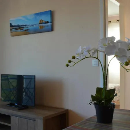 Biarritz, 2 Pieces, 4 Personnes - Fr-1-248-21 Apartman *
